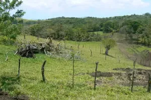 Lot for sale for a country house in Guanacaste, Tilarán, photo 9