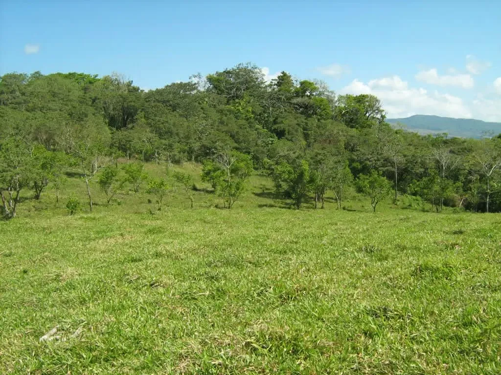 Lot for sale for a country house in Guanacaste, Tilarán, photo 10