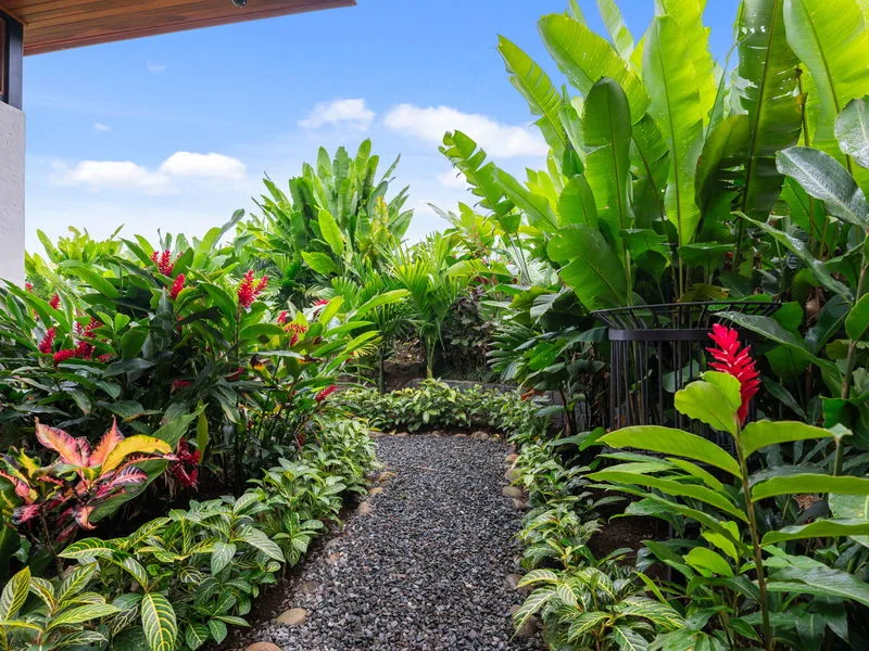 3 Bed Single Family Homes For Sale in La Fortuna, photo 15