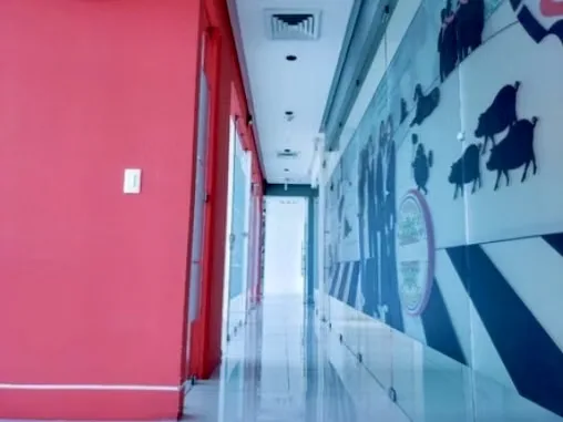 Corporate Office for Rent in San Pedro | 238 m² | Premium Office Center, photo 9