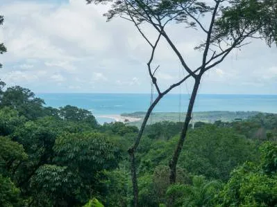Casa Selva, Vida Sostenible, photo 2