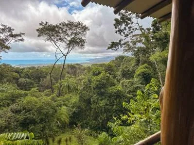 Casa Selva, Vida Sostenible, photo 3