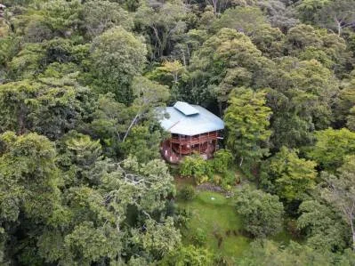 Casa Selva, Vida Sostenible, photo 9