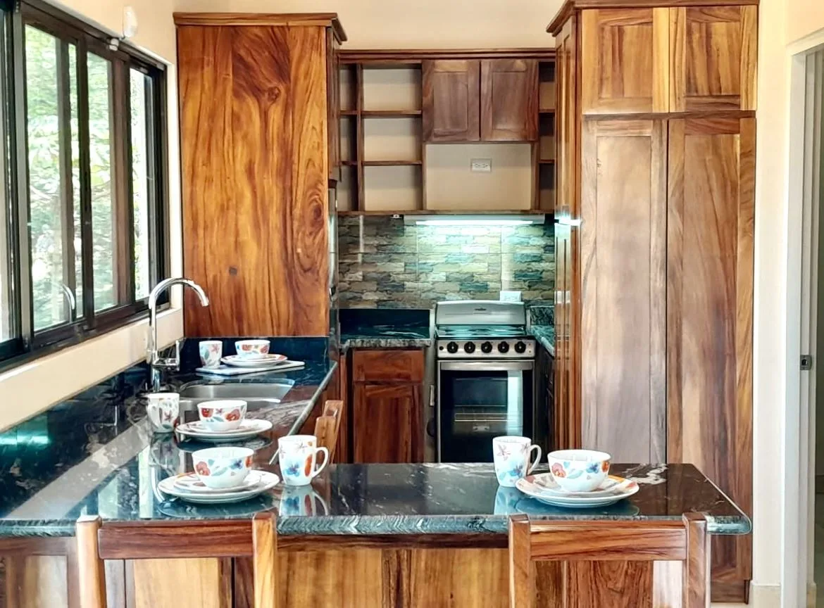Custom-Built 2 Bedroom Lakeview Home in Tranquil San Luis, Tilaran, Guanacaste, photo 3