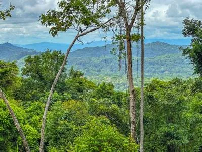 Lote con vista al mar en venta en Ojochal, Costa Rica, photo 10