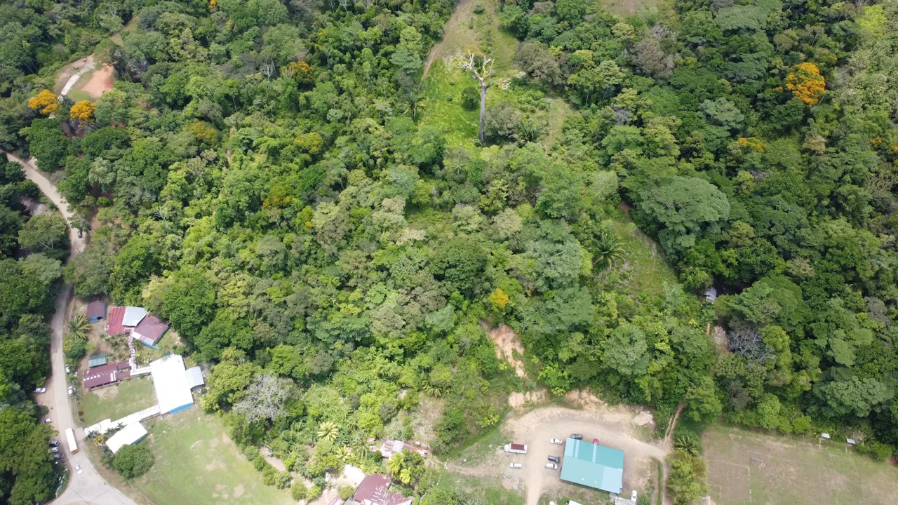 BUILDING JUNGLE PROPERTY WITH TREES VIEWS, IN OJOCHAL – 2.86 ACRES, photo 3