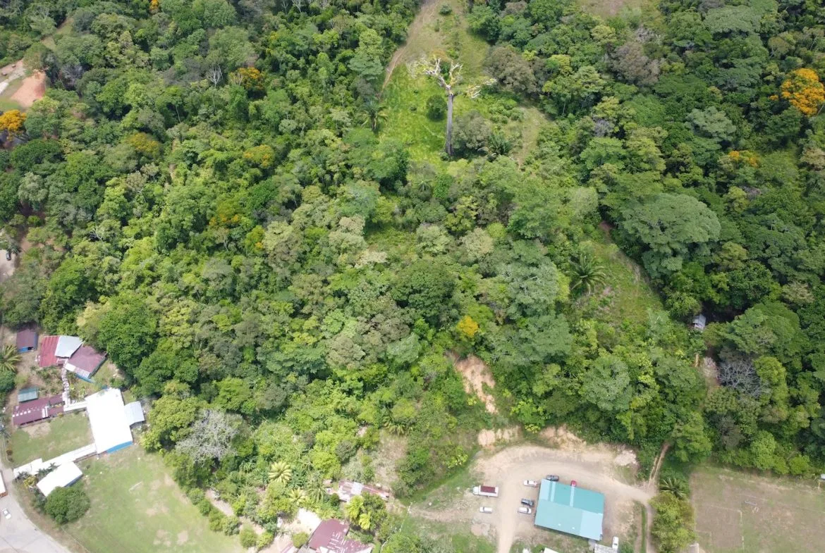 BUILDING JUNGLE PROPERTY WITH TREES VIEWS, IN OJOCHAL – 2.86 ACRES, photo 4