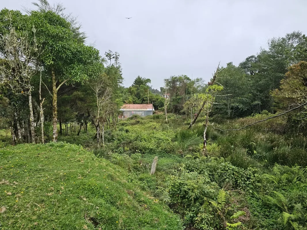 Discover the perfect opportunity to build your dream home or develop an investment project in one of Costa Rica's most desirable mountain communities., photo 11