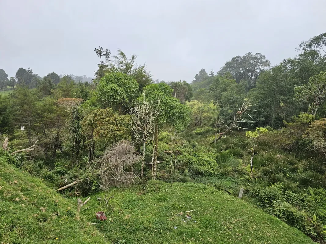 Discover the perfect opportunity to build your dream home or develop an investment project in one of Costa Rica's most desirable mountain communities., photo 12
