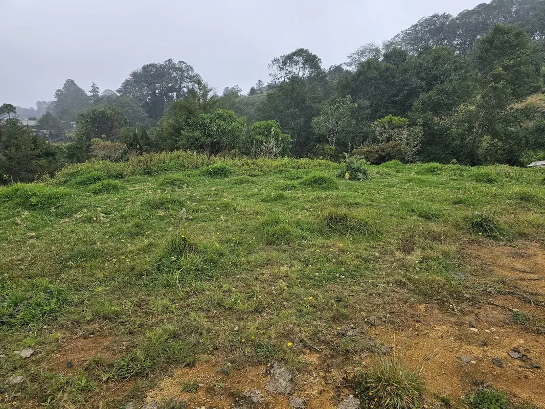 Discover the perfect opportunity to build your dream home or develop an investment project in one of Costa Rica's most desirable mountain communities., photo 13