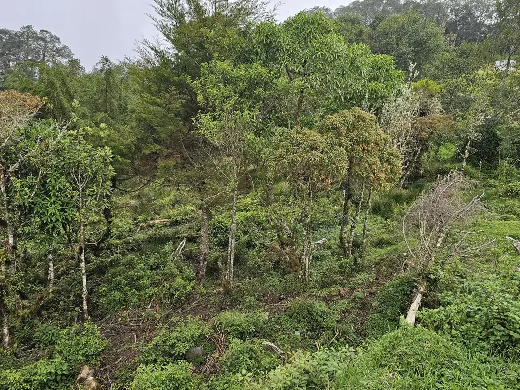 Discover the perfect opportunity to build your dream home or develop an investment project in one of Costa Rica's most desirable mountain communities., photo 14