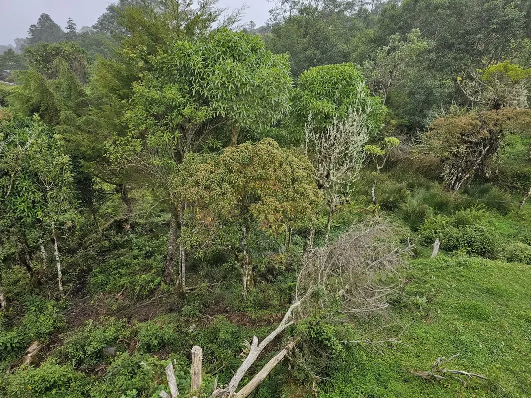 Discover the perfect opportunity to build your dream home or develop an investment project in one of Costa Rica's most desirable mountain communities., photo 16