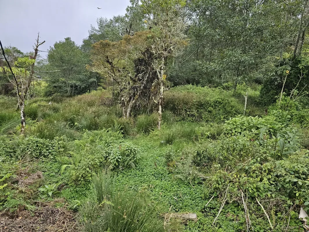 Discover the perfect opportunity to build your dream home or develop an investment project in one of Costa Rica's most desirable mountain communities., photo 8