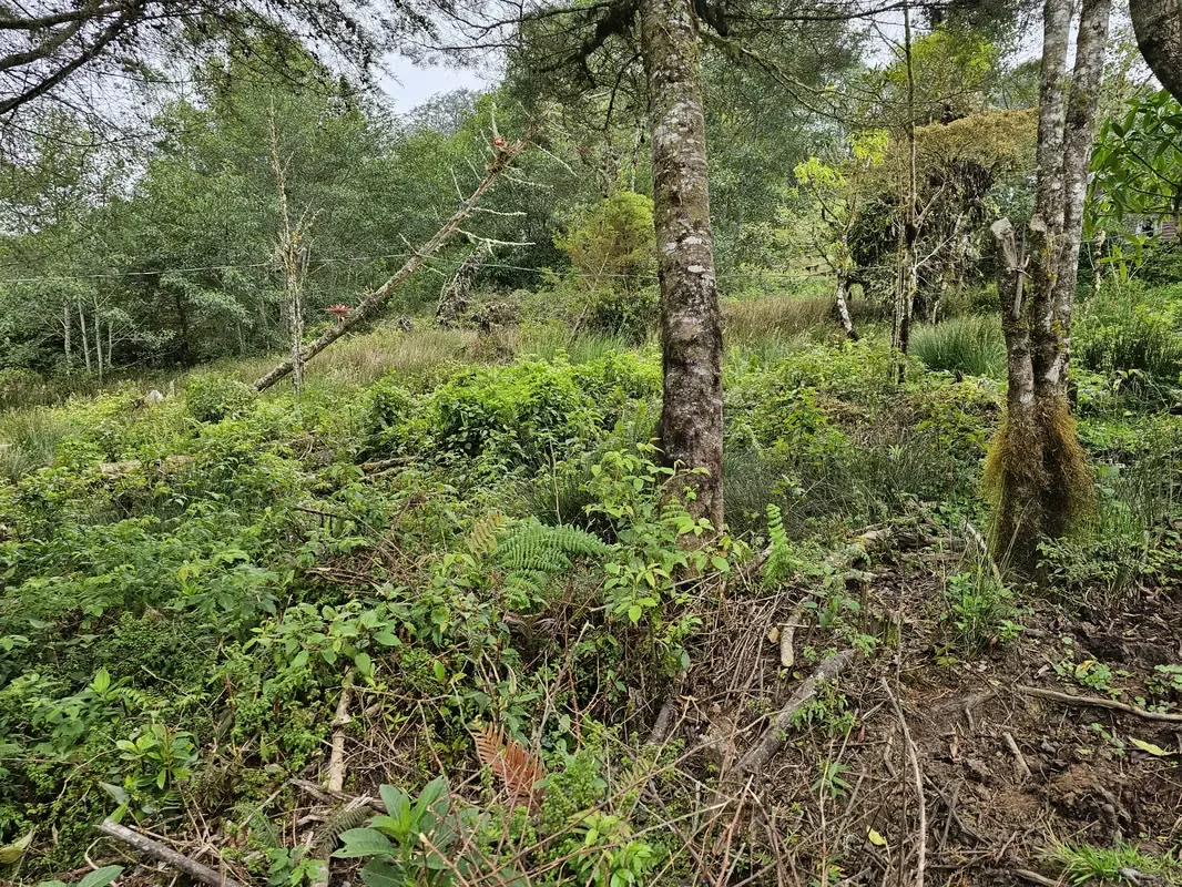 Discover the perfect opportunity to build your dream home or develop an investment project in one of Costa Rica's most desirable mountain communities., photo 10