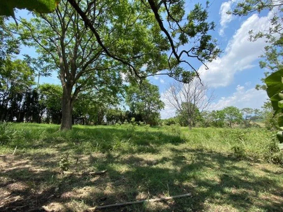 Lote en Venta con Uso de Suelo Mixto en Turrúcares, Alajuela.  - Venta en Turrúcares