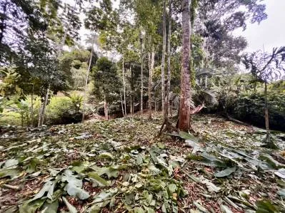 Firesale ! Paraiso en Cocles Puerto Viejo, Lote Titulado Fuera de Reserva Indigena