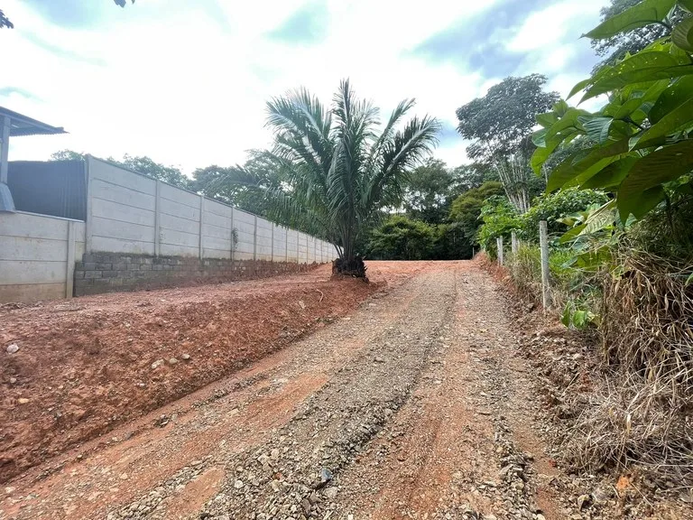 "Serene Land in Uvita: Opportunity Ready to Build", photo 4