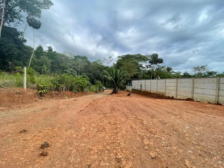 "Serene Land in Uvita: Opportunity Ready to Build", photo 5