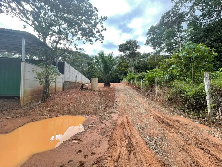 "Serene Land in Uvita: Opportunity Ready to Build", photo 7