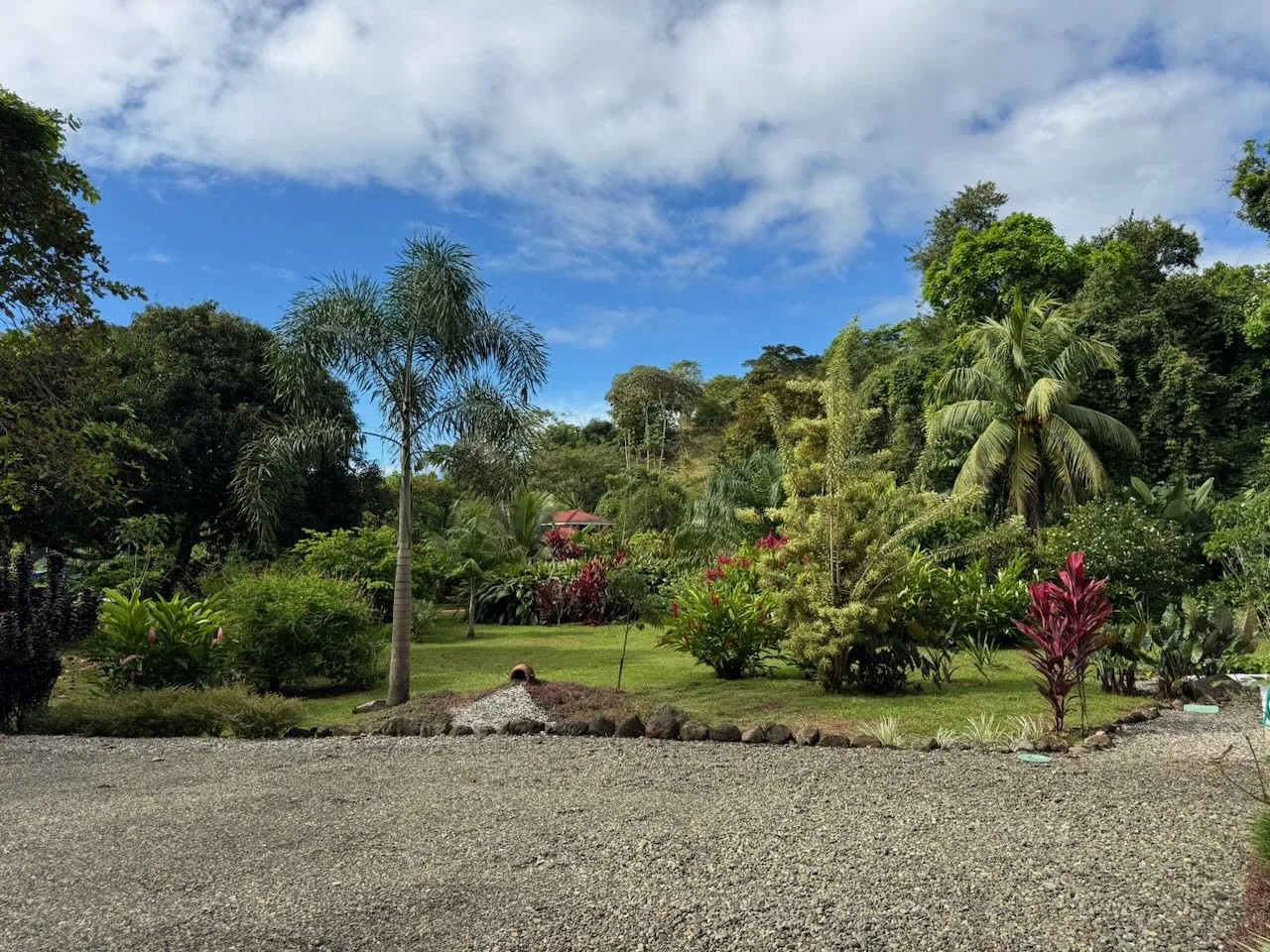 PROPERTY WITH TWO BEDROOM AND PEACEFUL GARDEN, IN OJOCHAL – 7.23 ACRES, photo 11
