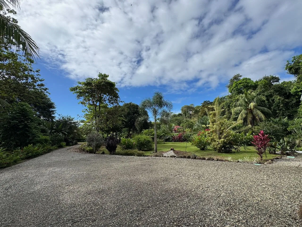 PROPERTY WITH TWO BEDROOM AND PEACEFUL GARDEN, IN OJOCHAL – 7.23 ACRES, photo 13