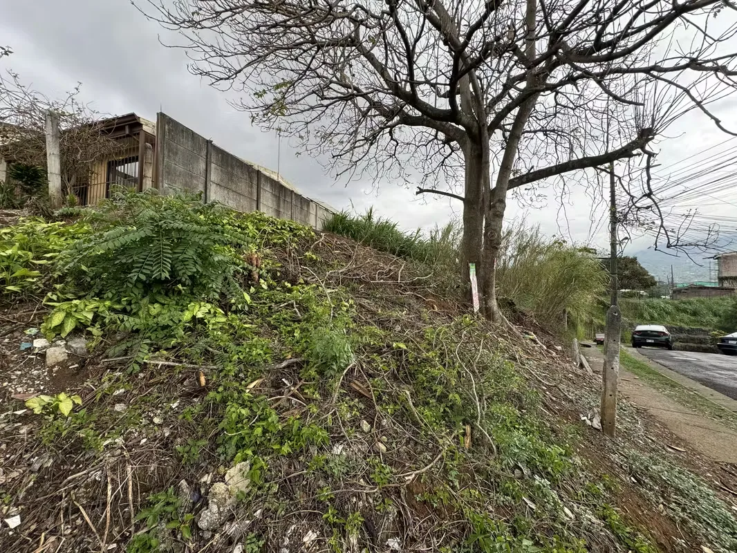 Corner Lot for Sale in Desamparados | 155 m² | Double Frontage | Ideal for Apartments, photo 3