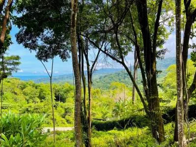 Lote Exclusivo con Vistas a la Cola de Ballena y a la Isla, photo 4