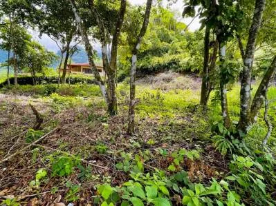 Lote Exclusivo con Vistas a la Cola de Ballena y a la Isla, photo 10