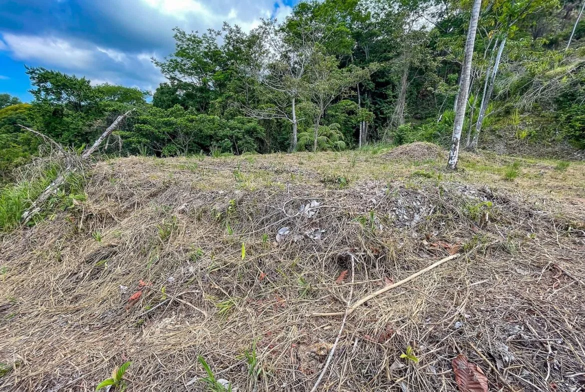 BUILDING PROPERTY WITH PANORAMIC OCEAN AND MOUNTAIN VIEWS, IN OJOCHAL – 2.2 ACRES, photo 2
