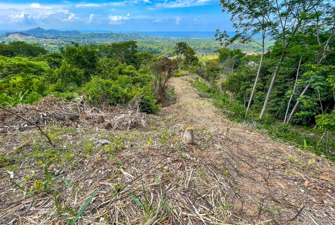 BUILDING PROPERTY WITH PANORAMIC OCEAN AND MOUNTAIN VIEWS, IN OJOCHAL – 2.2 ACRES, photo 12