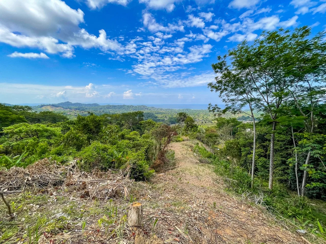 BUILDING PROPERTY WITH PANORAMIC OCEAN AND MOUNTAIN VIEWS, IN OJOCHAL – 2.2 ACRES, photo 13