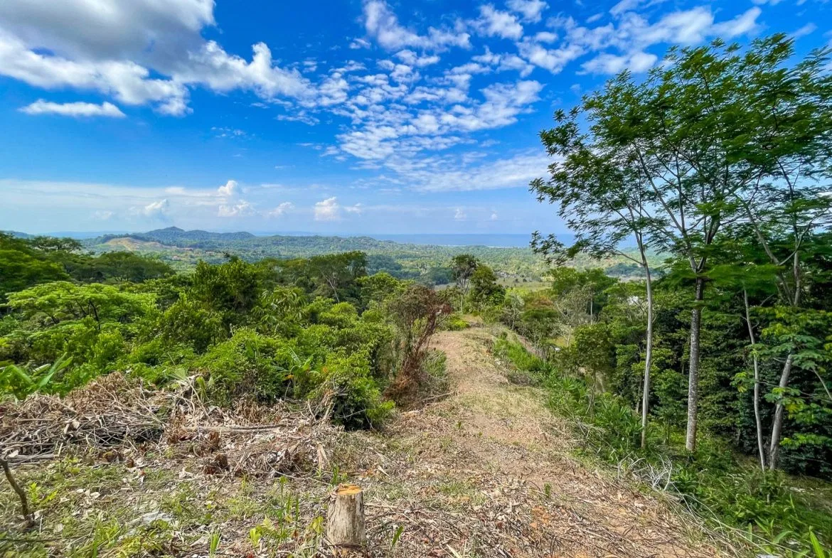 BUILDING PROPERTY WITH PANORAMIC OCEAN AND MOUNTAIN VIEWS, IN OJOCHAL – 2.2 ACRES, photo 14