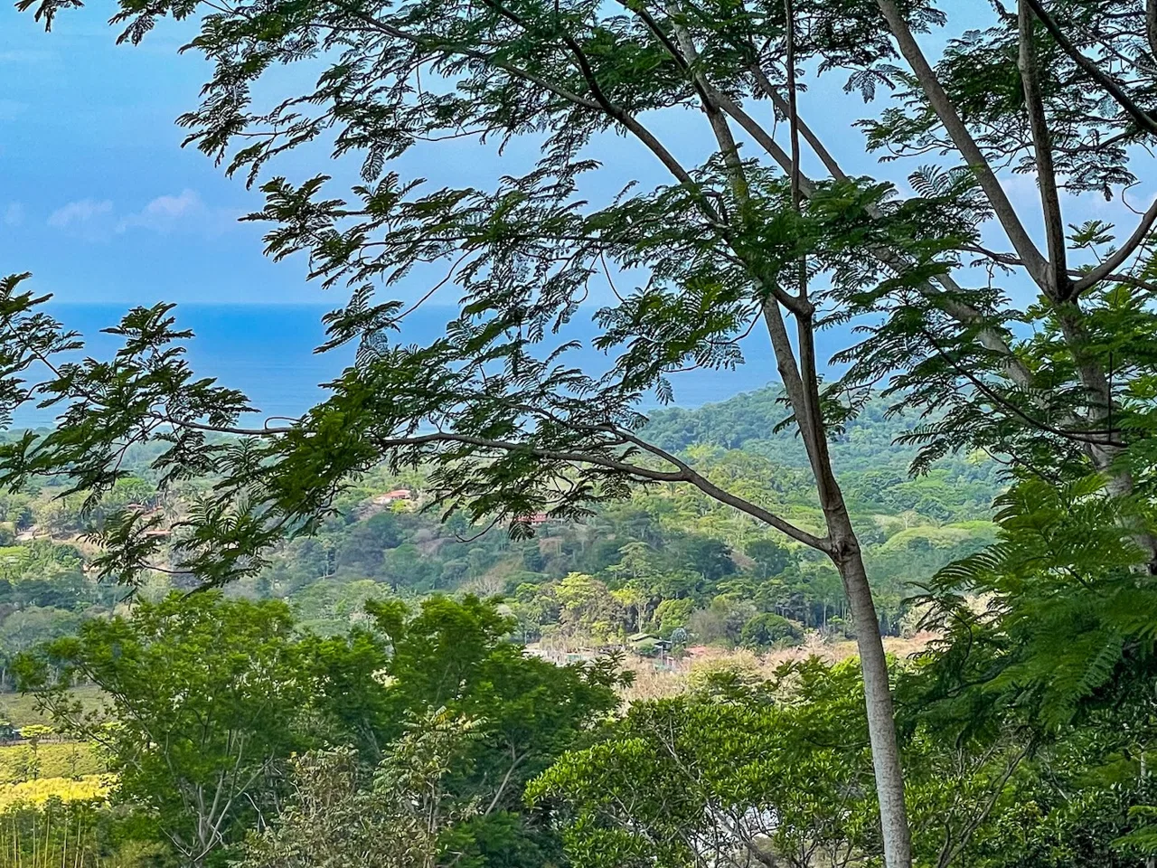 BUILDING PROPERTY WITH PANORAMIC OCEAN AND MOUNTAIN VIEWS, IN OJOCHAL – 2.2 ACRES, photo 15