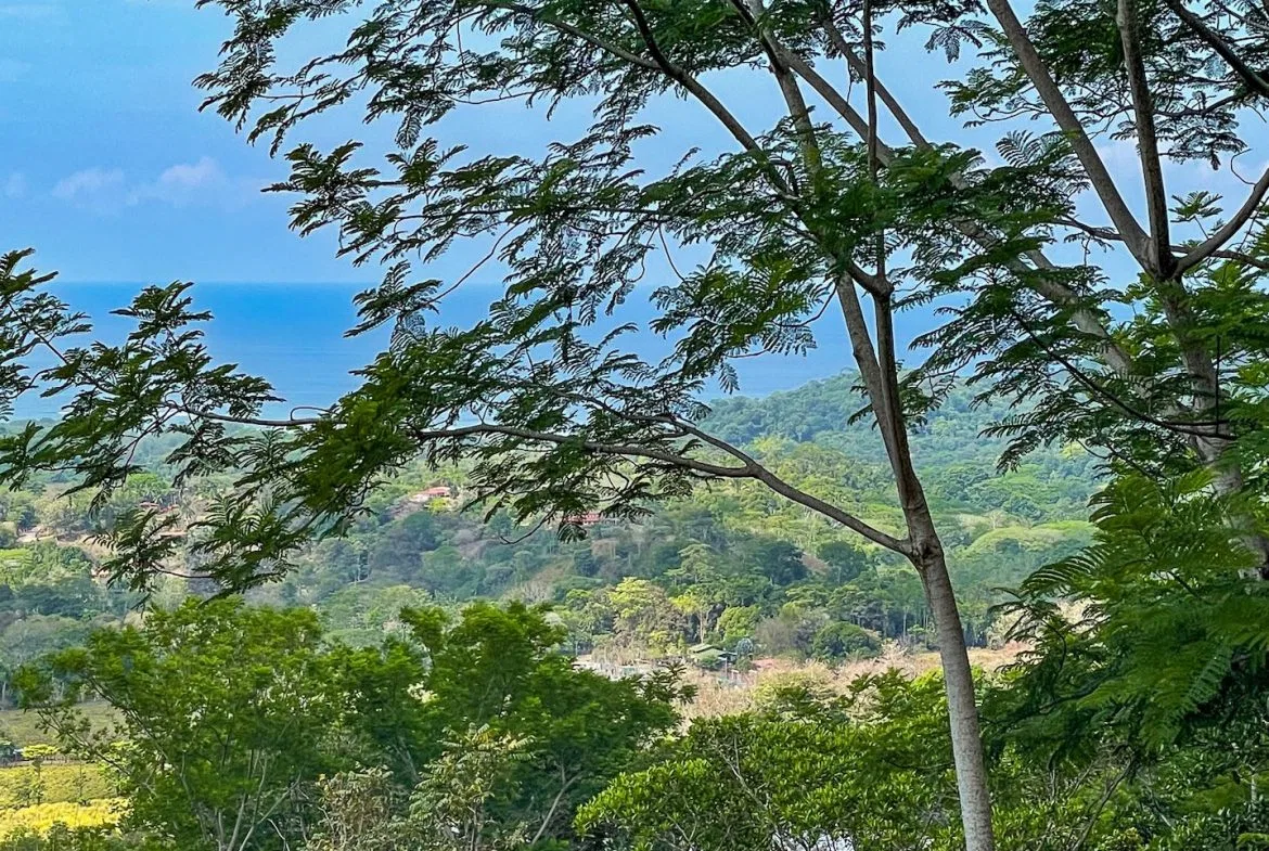 BUILDING PROPERTY WITH PANORAMIC OCEAN AND MOUNTAIN VIEWS, IN OJOCHAL – 2.2 ACRES, photo 16