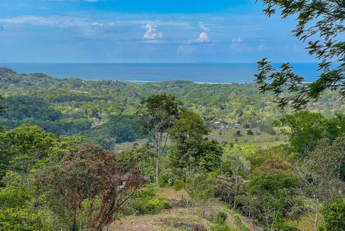 BUILDING PROPERTY WITH PANORAMIC OCEAN AND MOUNTAIN VIEWS, IN OJOCHAL – 2.2 ACRES, photo 18