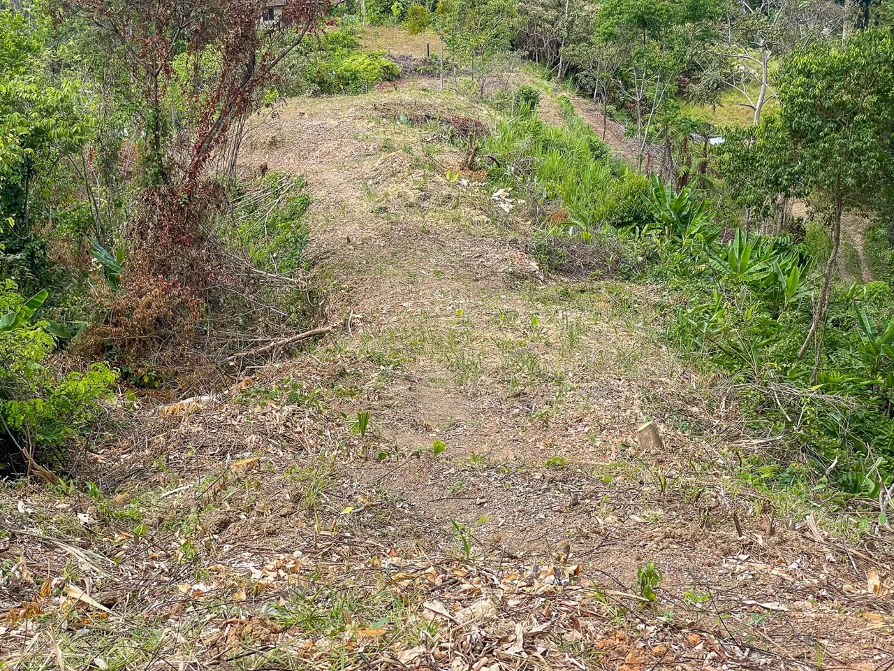 BUILDING PROPERTY WITH PANORAMIC OCEAN AND MOUNTAIN VIEWS, IN OJOCHAL – 2.2 ACRES, photo 19