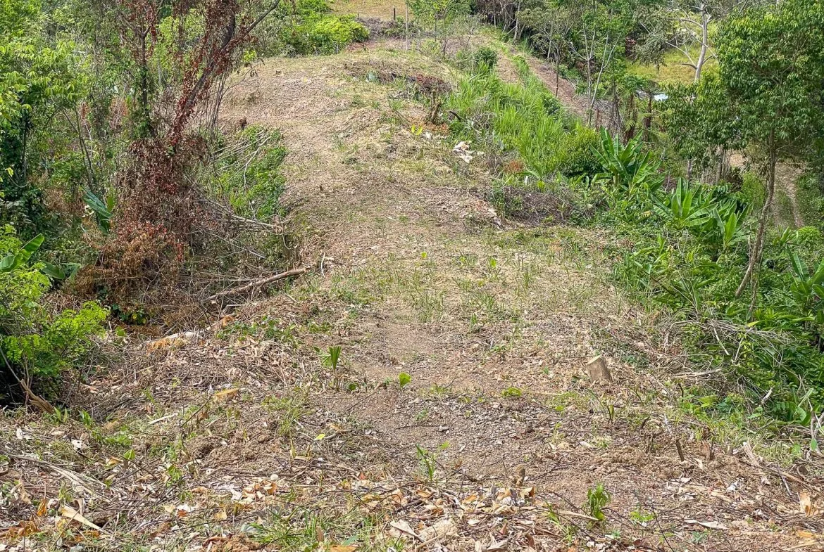 BUILDING PROPERTY WITH PANORAMIC OCEAN AND MOUNTAIN VIEWS, IN OJOCHAL – 2.2 ACRES, photo 20