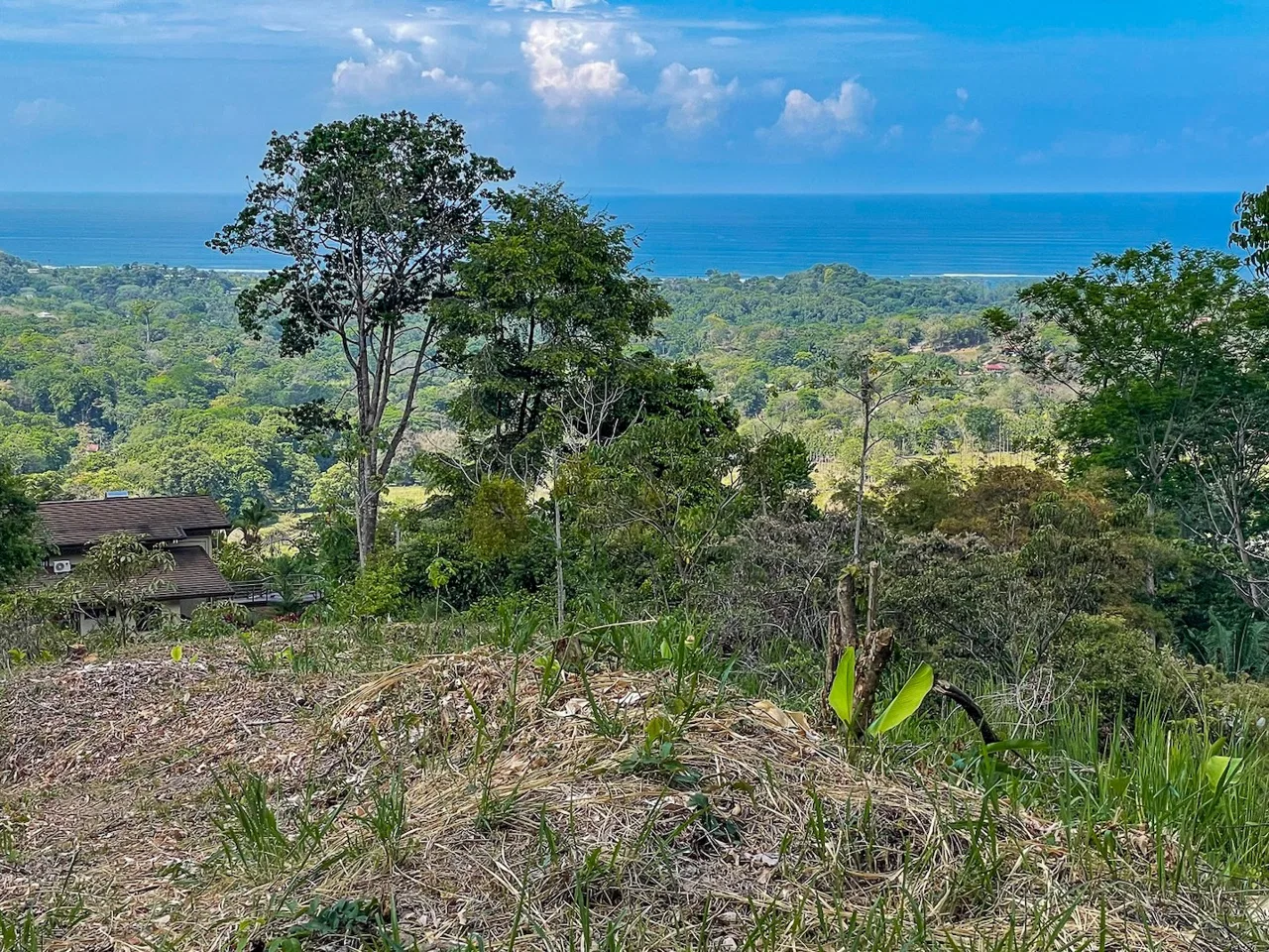 BUILDING PROPERTY WITH PANORAMIC OCEAN AND MOUNTAIN VIEWS, IN OJOCHAL – 2.2 ACRES, photo 21