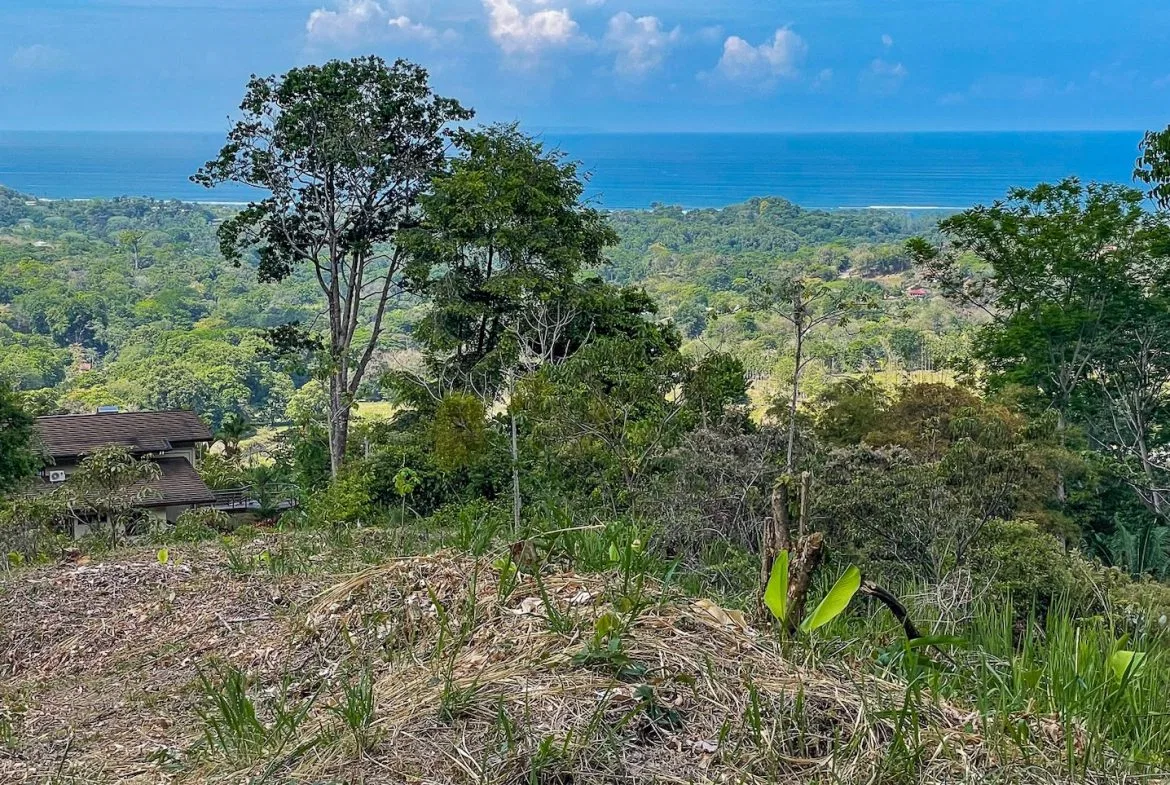 BUILDING PROPERTY WITH PANORAMIC OCEAN AND MOUNTAIN VIEWS, IN OJOCHAL – 2.2 ACRES, photo 22