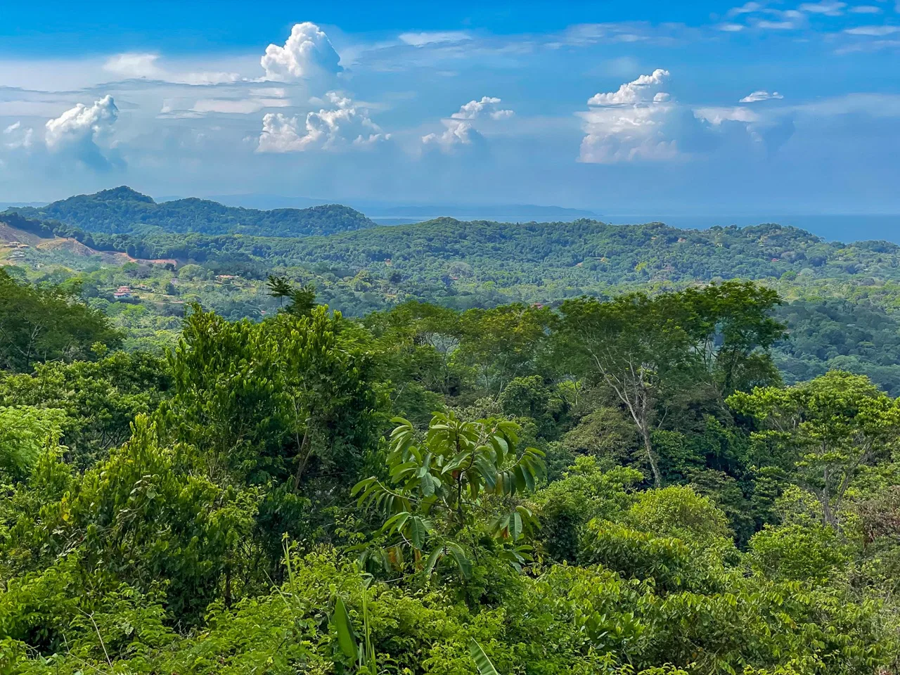 BUILDING PROPERTY WITH PANORAMIC OCEAN AND MOUNTAIN VIEWS, IN OJOCHAL – 2.2 ACRES, photo 23