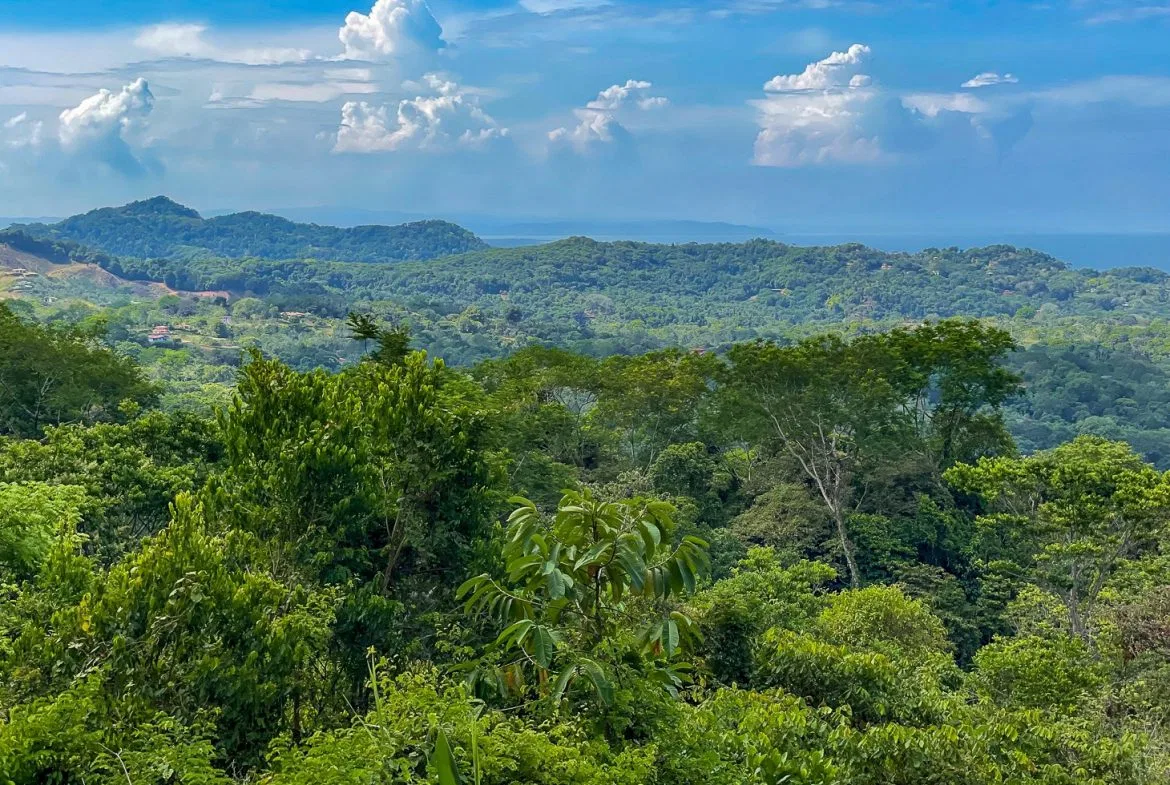 BUILDING PROPERTY WITH PANORAMIC OCEAN AND MOUNTAIN VIEWS, IN OJOCHAL – 2.2 ACRES, photo 24