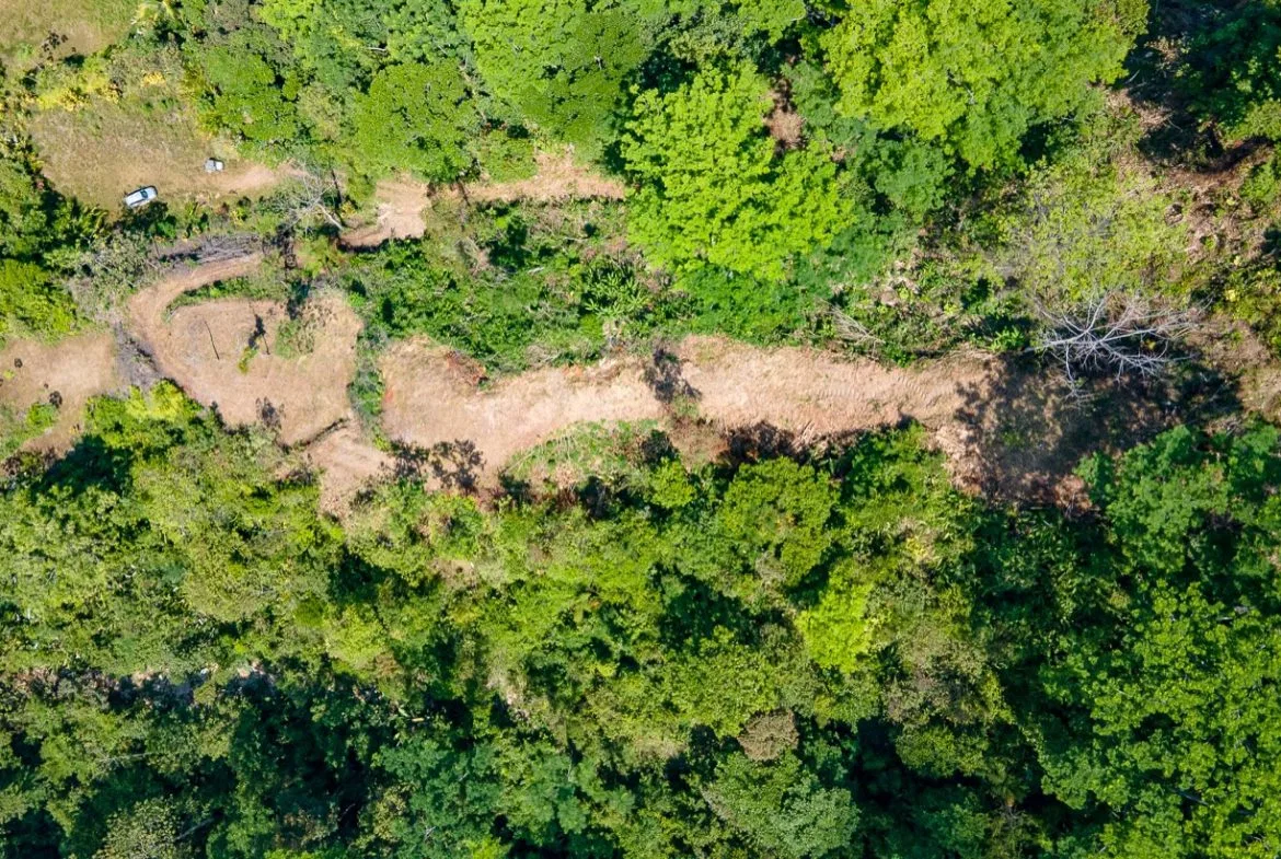 BUILDING PROPERTY WITH PANORAMIC OCEAN AND MOUNTAIN VIEWS, IN OJOCHAL – 2.2 ACRES, photo 4