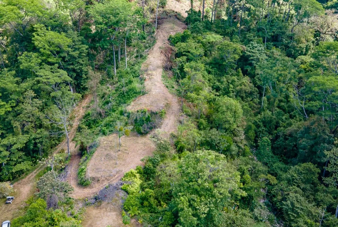 BUILDING PROPERTY WITH PANORAMIC OCEAN AND MOUNTAIN VIEWS, IN OJOCHAL – 2.2 ACRES, photo 6