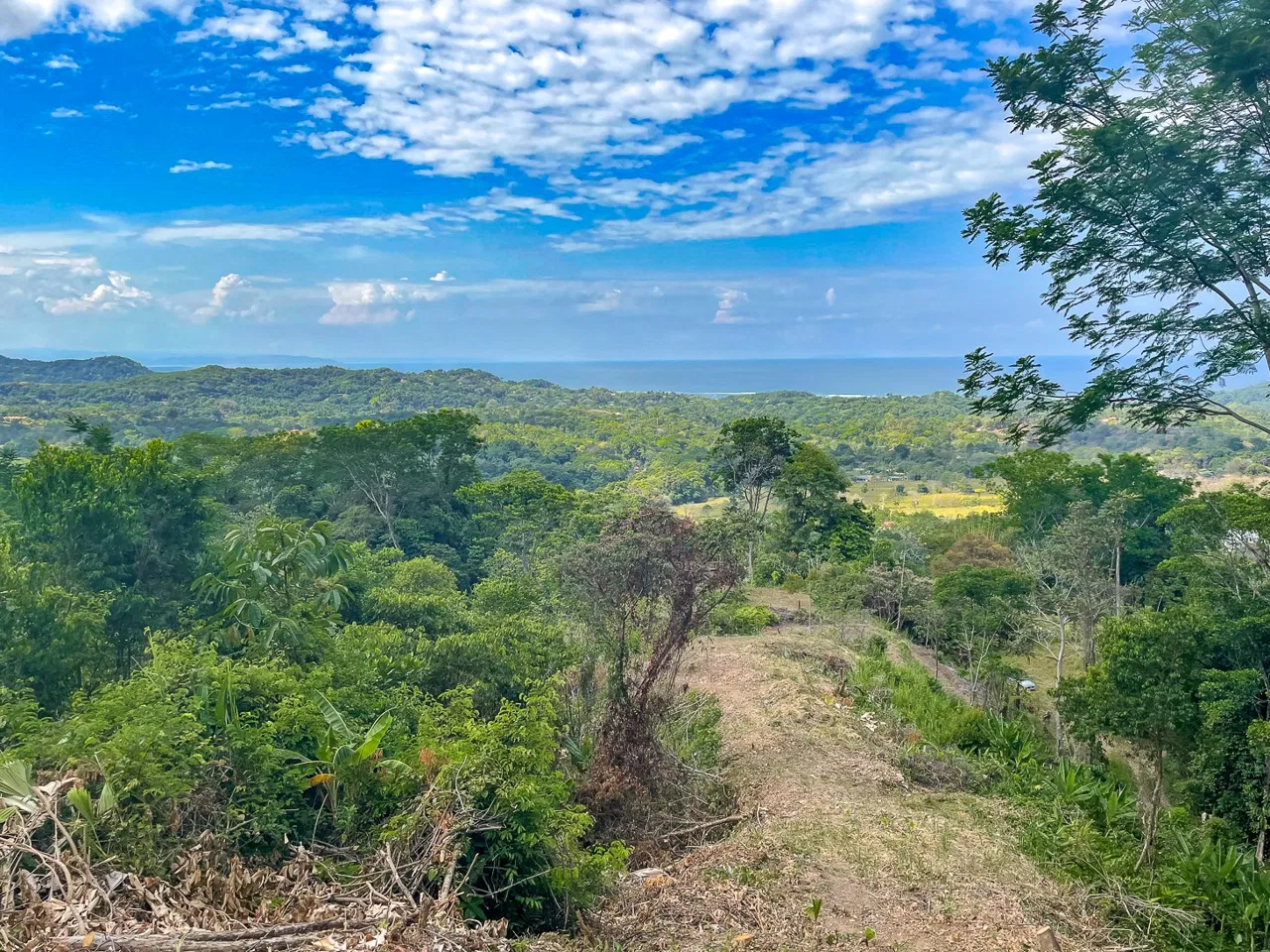 BUILDING PROPERTY WITH PANORAMIC OCEAN AND MOUNTAIN VIEWS, IN OJOCHAL – 2.2 ACRES, photo 7