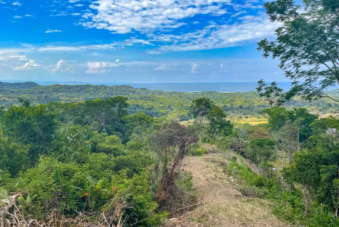 BUILDING PROPERTY WITH PANORAMIC OCEAN AND MOUNTAIN VIEWS, IN OJOCHAL – 2.2 ACRES, photo 8