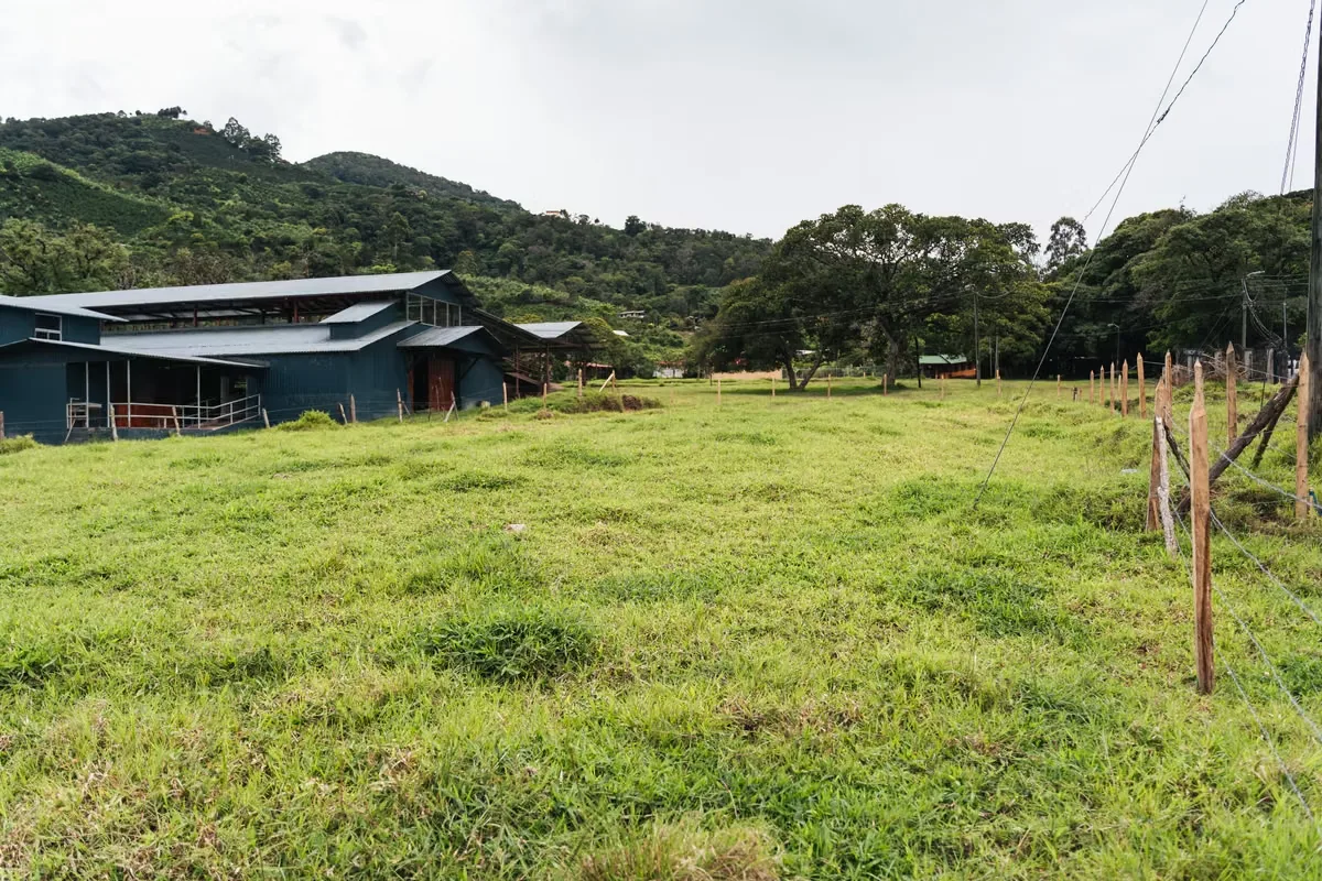 Located in El Guayabal, right in the heart of Santa María de Dota, this 1,363 m² lot stands out for its location, topography, and versatility., photo 8