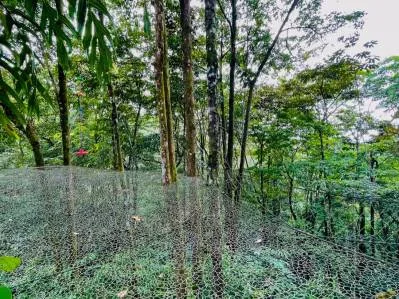 El paraíso privado de la jungla para tu familia en Uvita, Costa Rica, photo 6