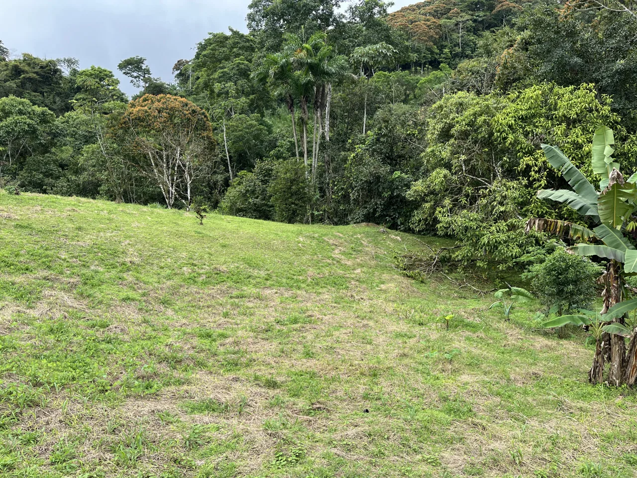 Farm Land for Sale in San Vito Costa Rica – 6,111 m² Near La Amistad Park – Stream, Buildable, Fertile Soil, photo 2