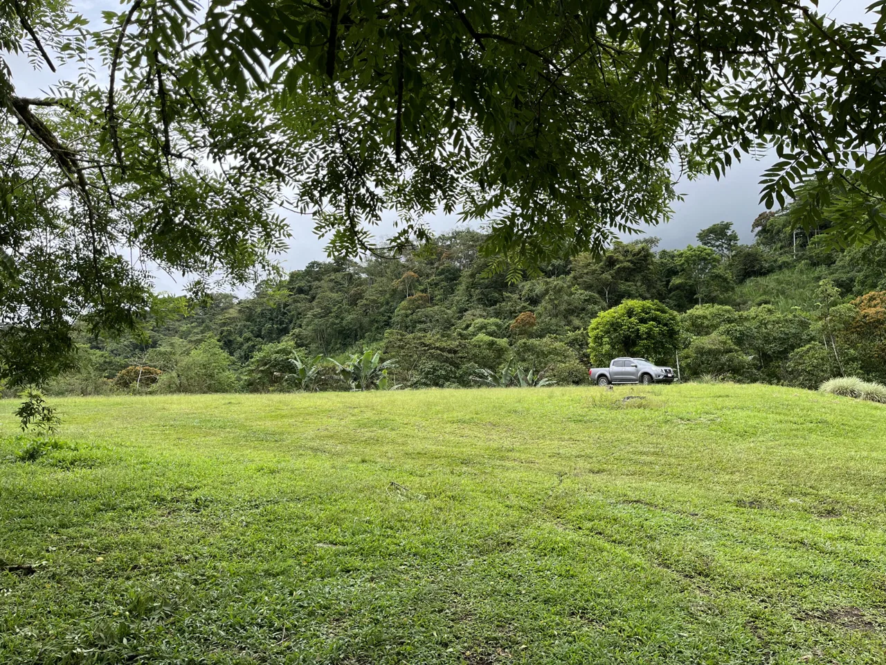 Farm Land for Sale in San Vito Costa Rica – 6,111 m² Near La Amistad Park – Stream, Buildable, Fertile Soil, photo 11