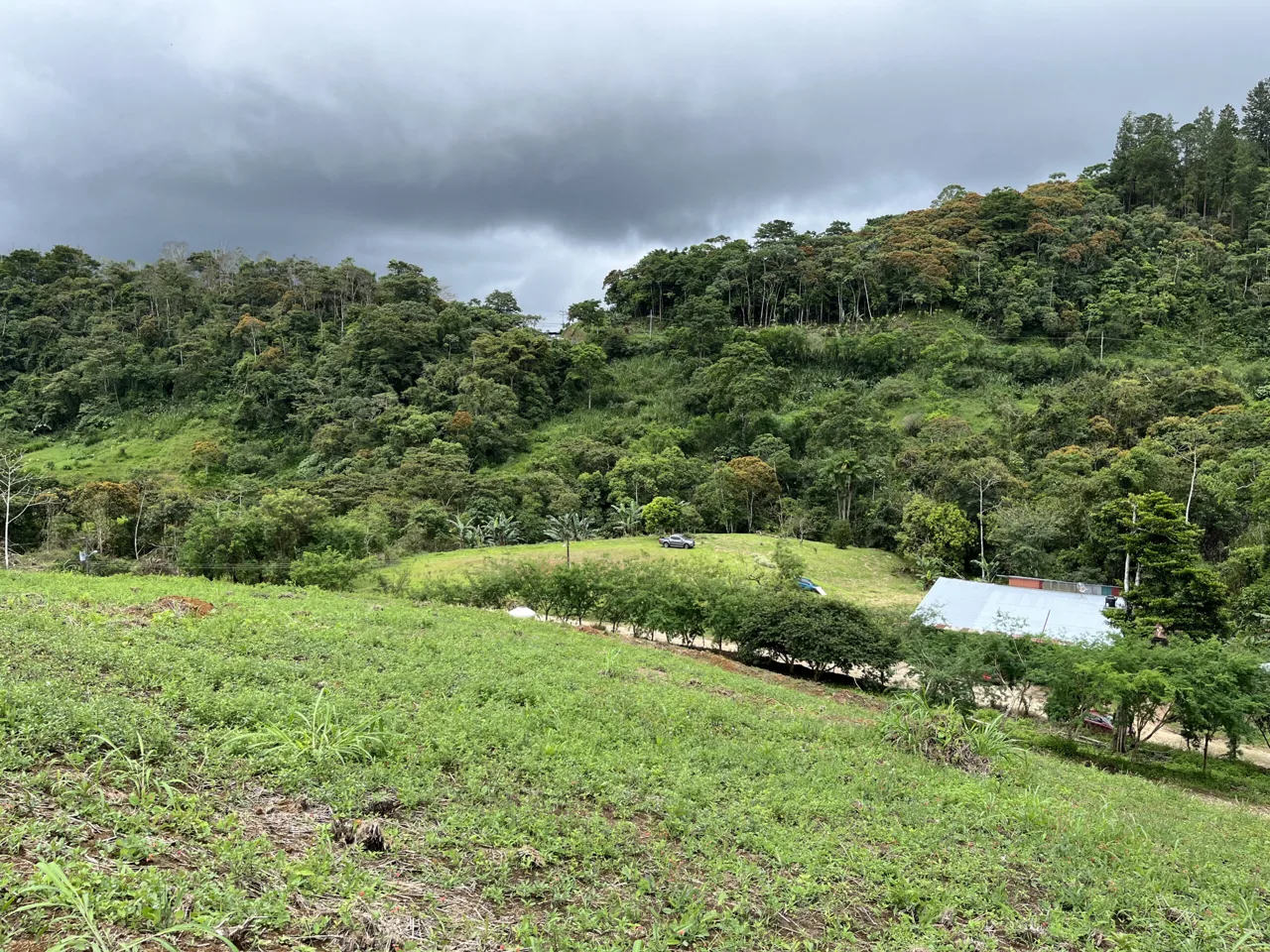 Farm Land for Sale in San Vito Costa Rica – 6,111 m² Near La Amistad Park – Stream, Buildable, Fertile Soil, photo 12
